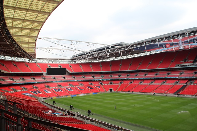 葡萄牙主帅马丁内斯：没人能够取代努诺-门德斯